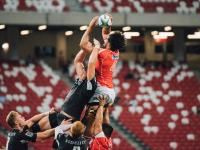 IM电竞APP-欧冠淘汰赛焦点战，国王争冠战胜出开拓者