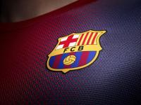 IM竞技体育平台-逆转与惊艳，樊振东的孤星闪耀与国乒的集体警醒