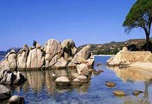 IM电竞官网首页-开拓者主帅高度赞扬球员拼搏精神