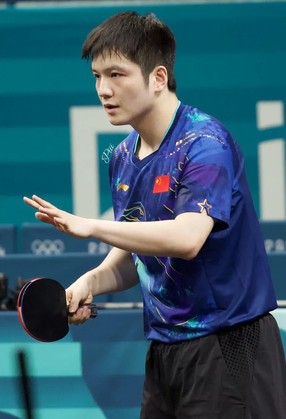 包含波兰乒乓球队轻取比利时乒乓球队,樊振东爆发神勇的词条 包含波兰乒乓球队轻取比利时乒乓球队,樊振东爆发神勇的词条