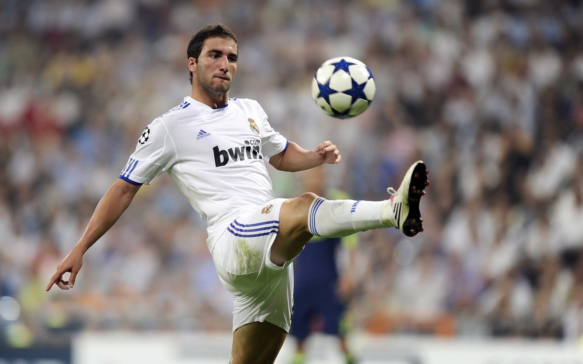 太阳耀斑般击溃凯尔特人，福克斯在年度焦点之战中接管比赛，诠释何为唯一性