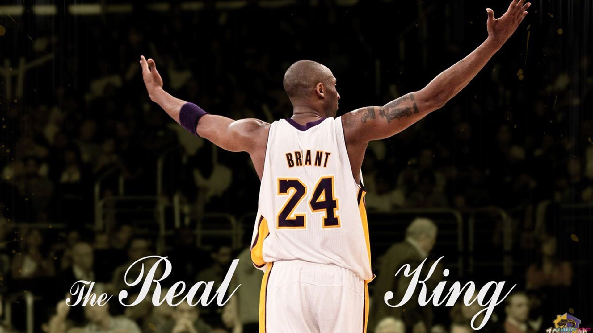 绿茵场上的灰熊，意甲焦点战中的战术压制哲学